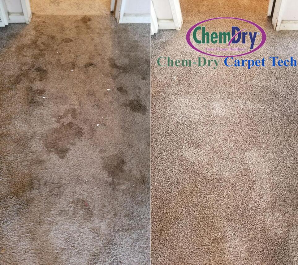 Before and after carpet stain removal in Simi Valley