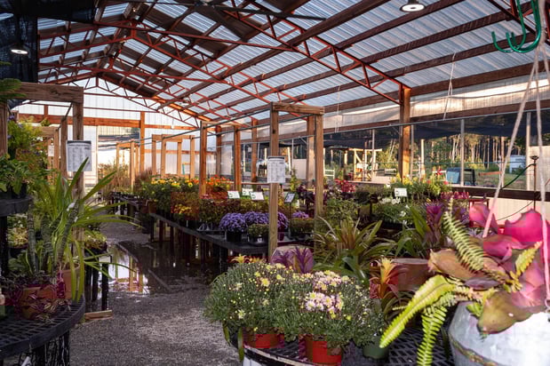 Images Strickland Ace Hardware, Danielsville