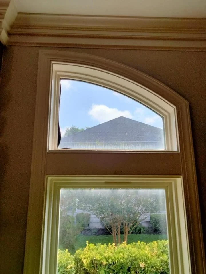A view through a multi-paned window with an arched upper section looking out onto a residential backyard with green bushes and trees, and a house roof against a blue sky with some clouds.