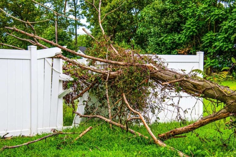 Fence Repair