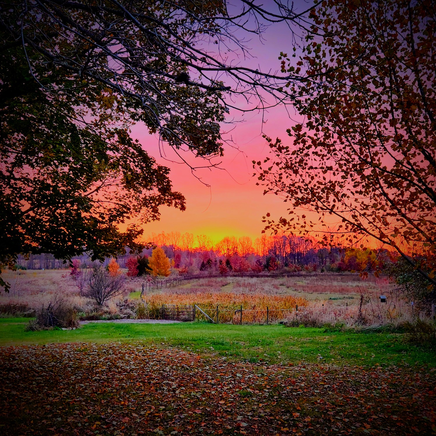 Milks Tree Service Inc Image