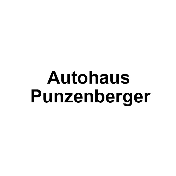 Logo von Autohaus Punzenberger GmbH Seat-Cupra, VW, Audi