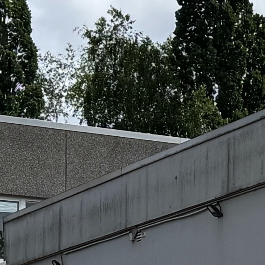 Autismus Frühförderung und Entwicklungsberatung, Waller Heerstraße 103 in Bremen