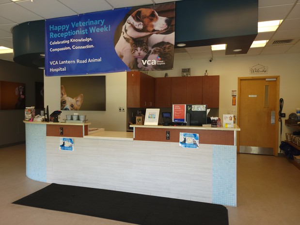 Images VCA Lantern Road Animal Hospital