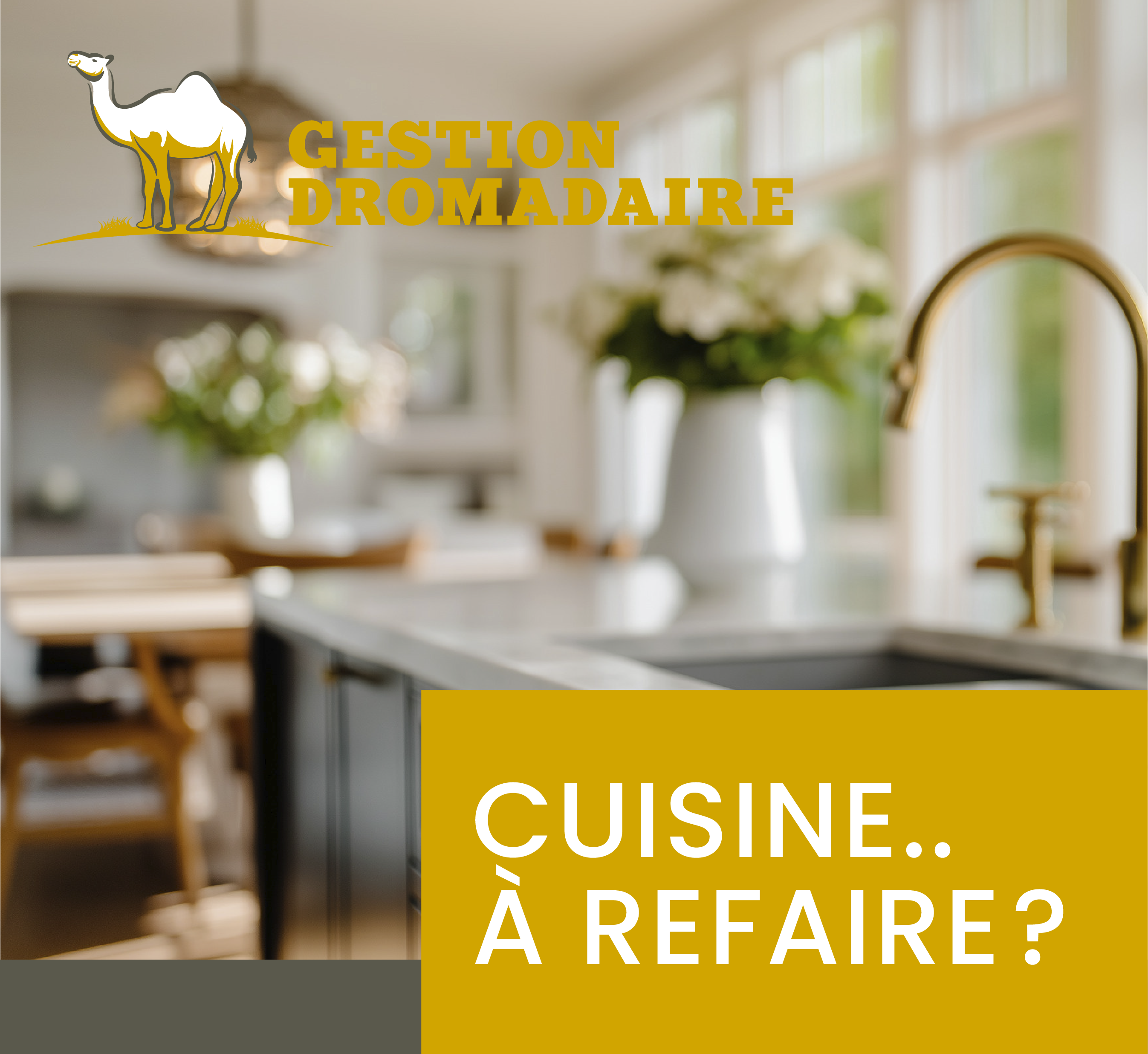 Images Gestion Dromadaire Inc