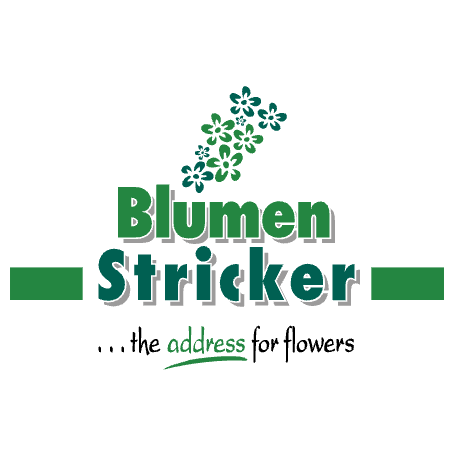Blumen Stricker Logo