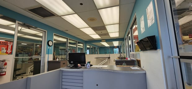 Images Petco Grooming