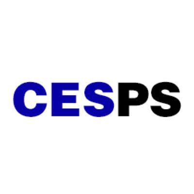 CES Property Service LLC