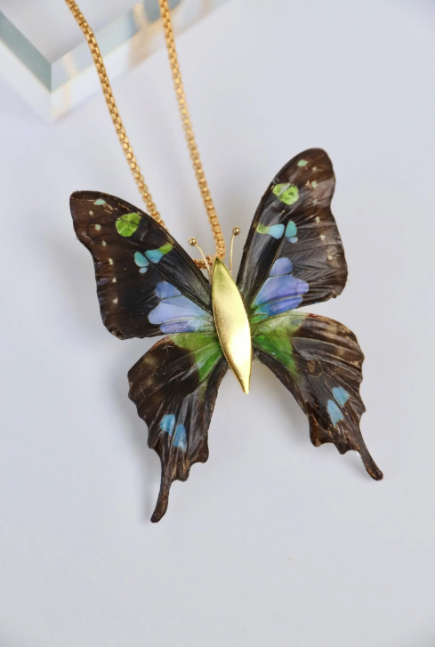 Images Hillary Jackson Designs