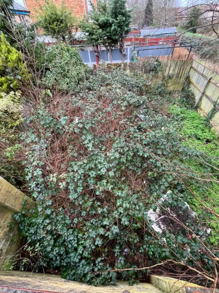 Images First Choice Maintenance Services