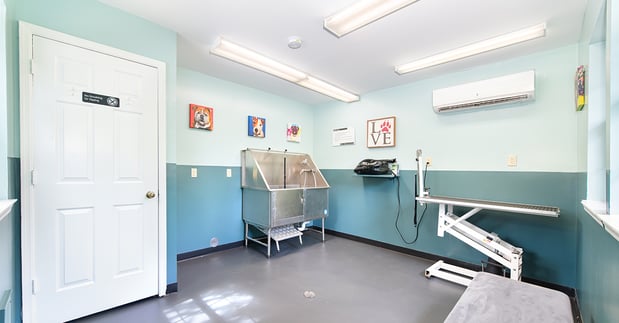 Images MAA Windridge