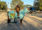 Images Star Ridge Stables