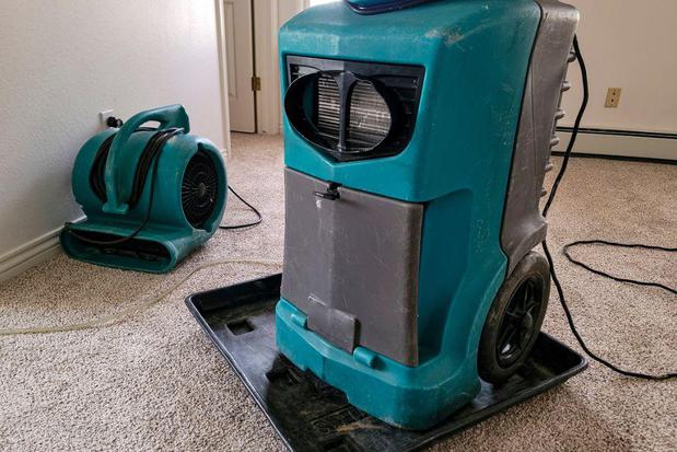 Images First Response Restoration, Water Damage Minneapolis Specialist
