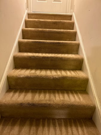 Images Glow-Shine Carpet Cleaning