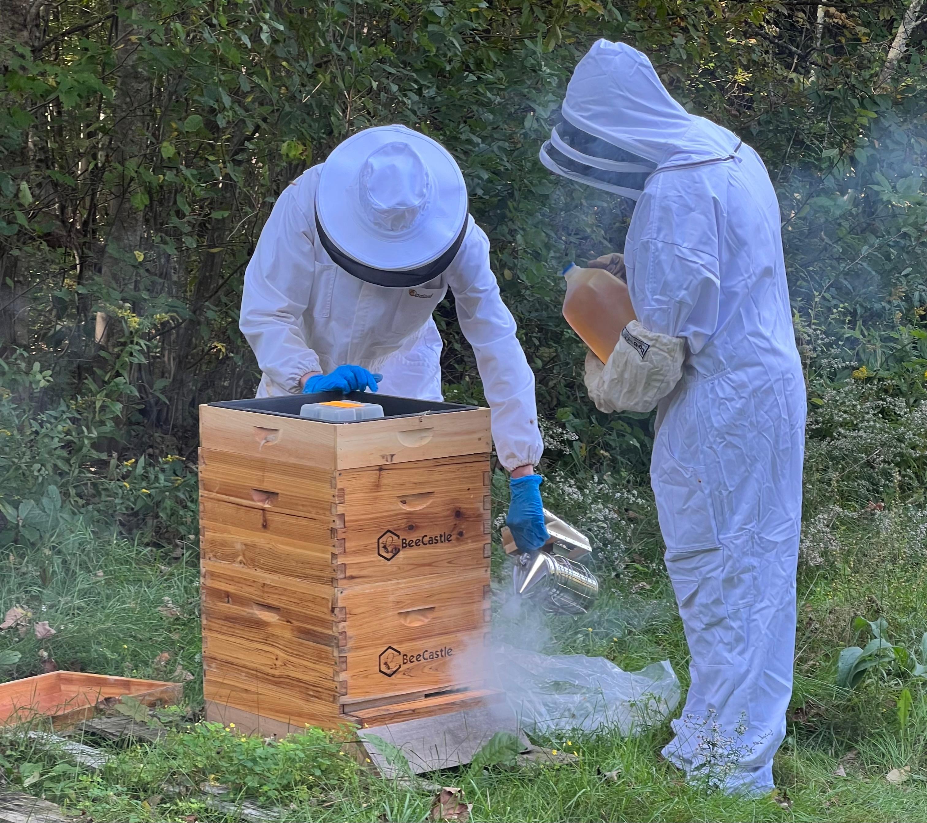 Windswept Hill Apiary - Honey Farm - Chichester, NH 03258