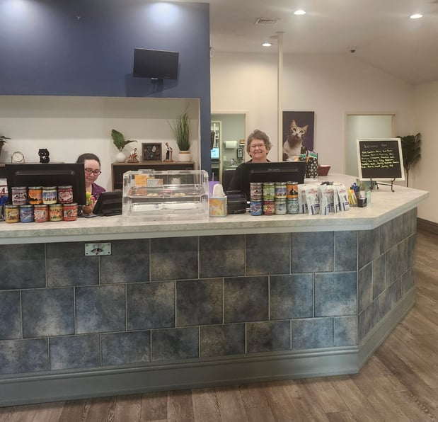 Images VCA AVH Animal Hospital