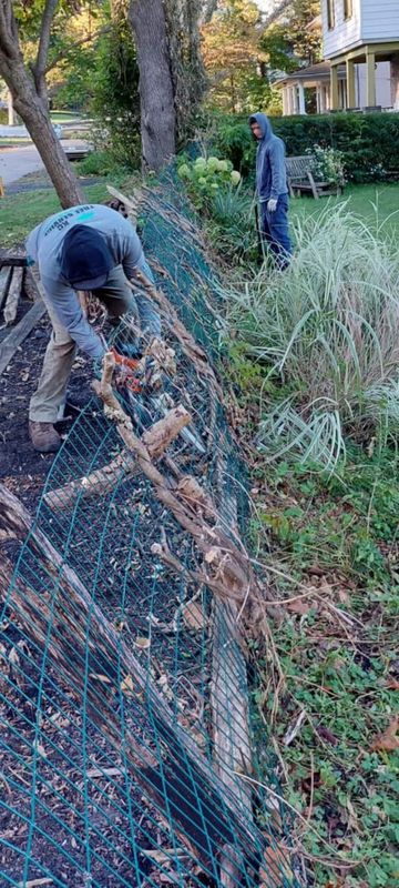 Images KC Tree Services LLC