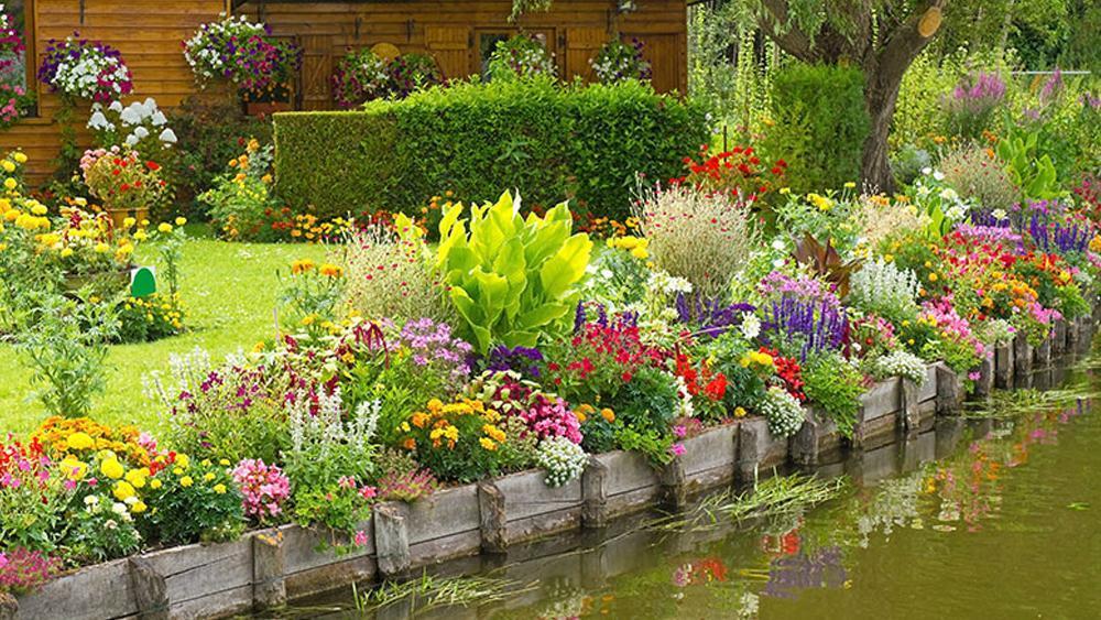 Garten- und Landschaftsbau für eine schöne Umgebung