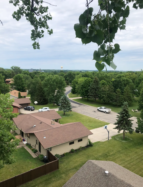 Jake's Tree Service Image