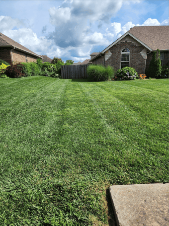 Images Cooks Lawn Care Service