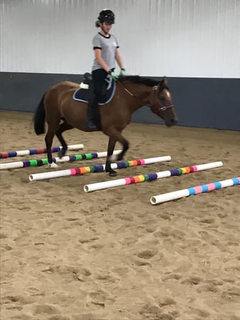 Images Pine Ridge Riding Center LLC