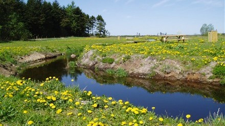 Images Tusågård Put and Take