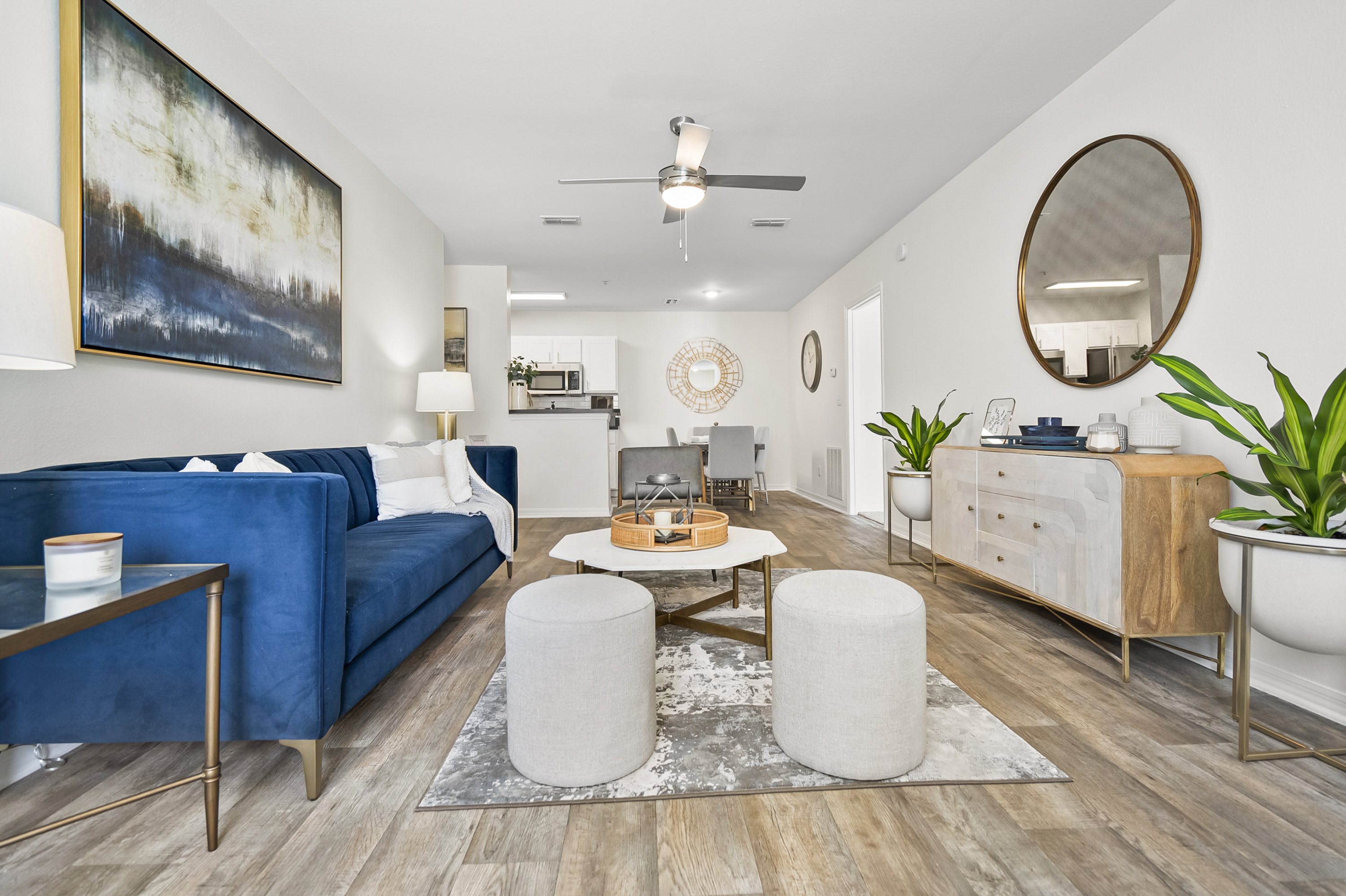 Living And Kitchen View