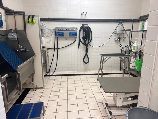 Images Petco Grooming