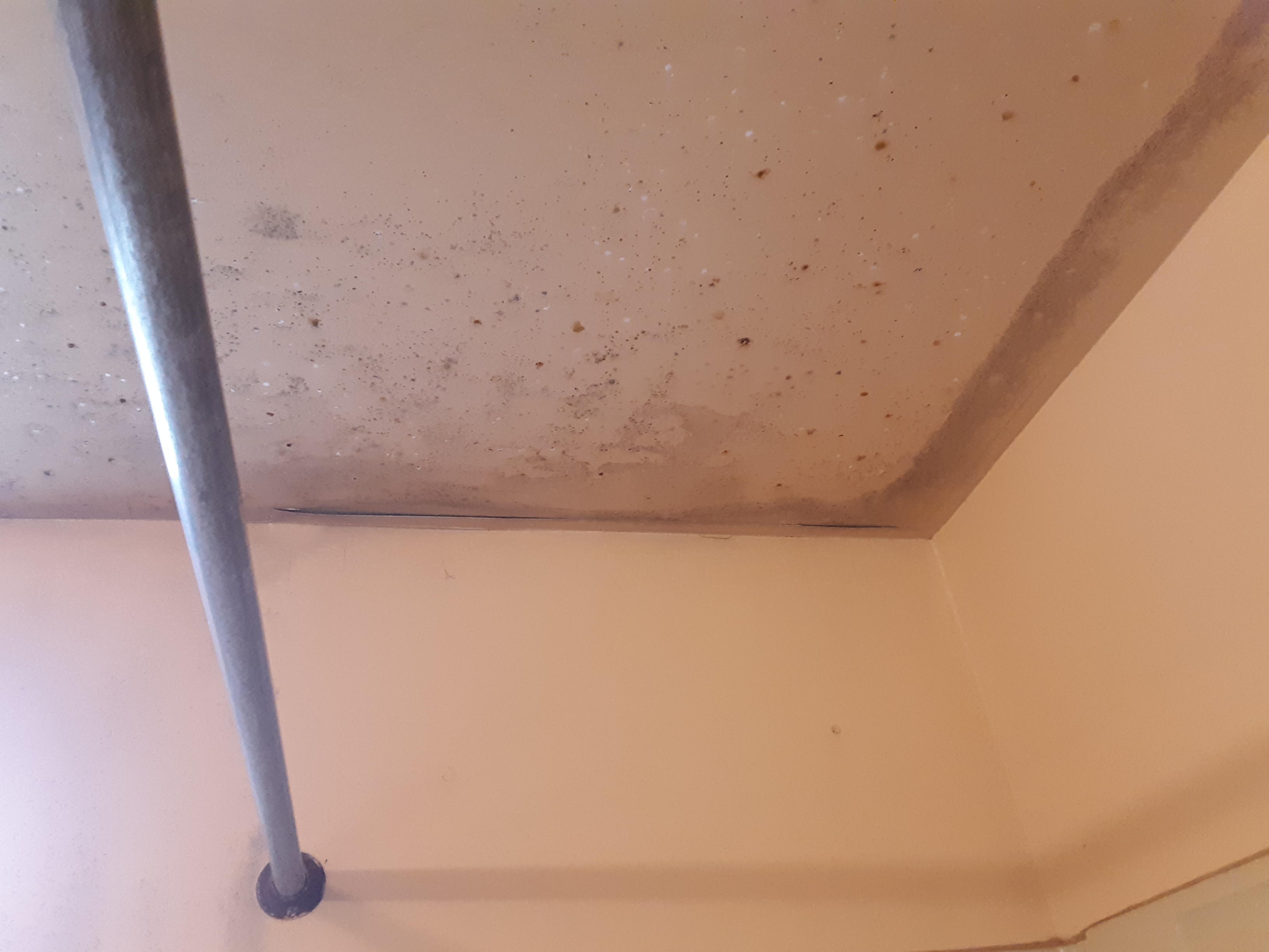 Can you spot the mold?  Our crews worked hard to make it "Like it never even happened."