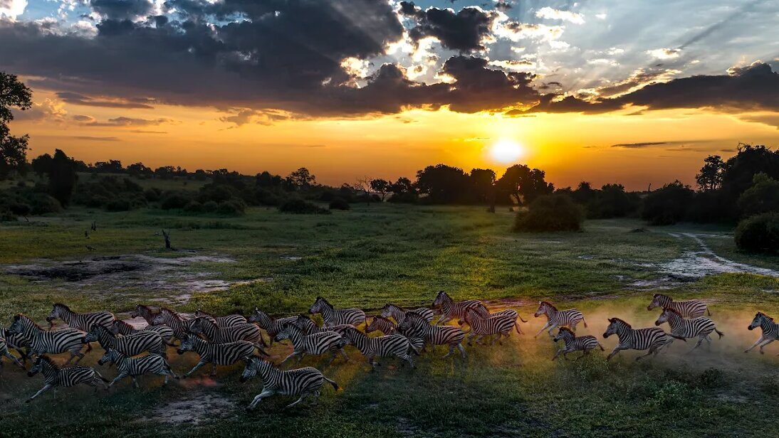 Buschmann Safaris - I. O. Carstens Touristik cc in Gelting
