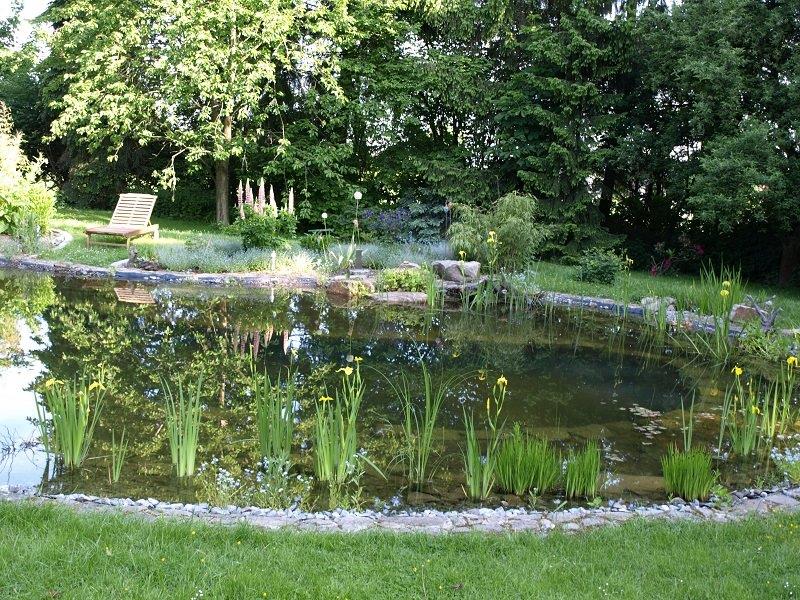 Bilder Naturnaher Gartenbau Peter Albrecht