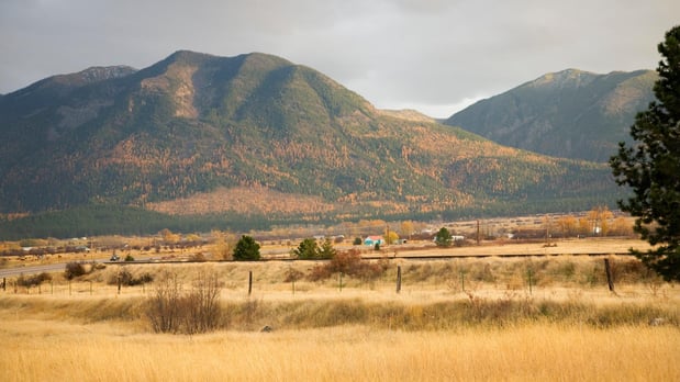 Images McNay & Messick, CPA, PC