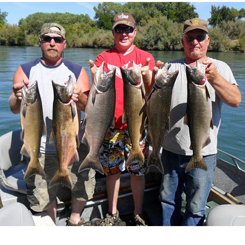 Al Brown's Guide Services