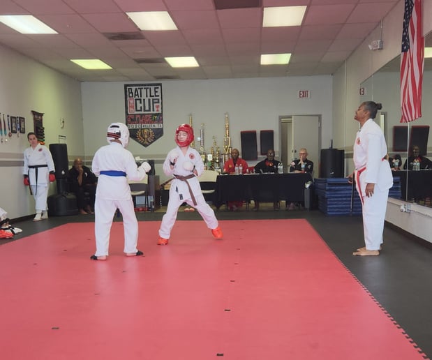 Images Jaguar Dojo