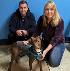 Images Molasses Creek Dog Training, LLC