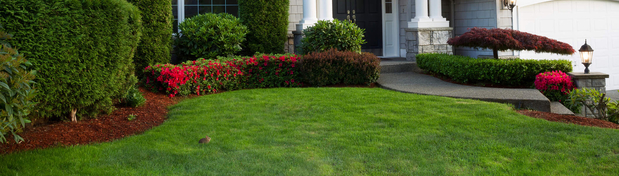 Images Morales Lawn Care & Landscaping