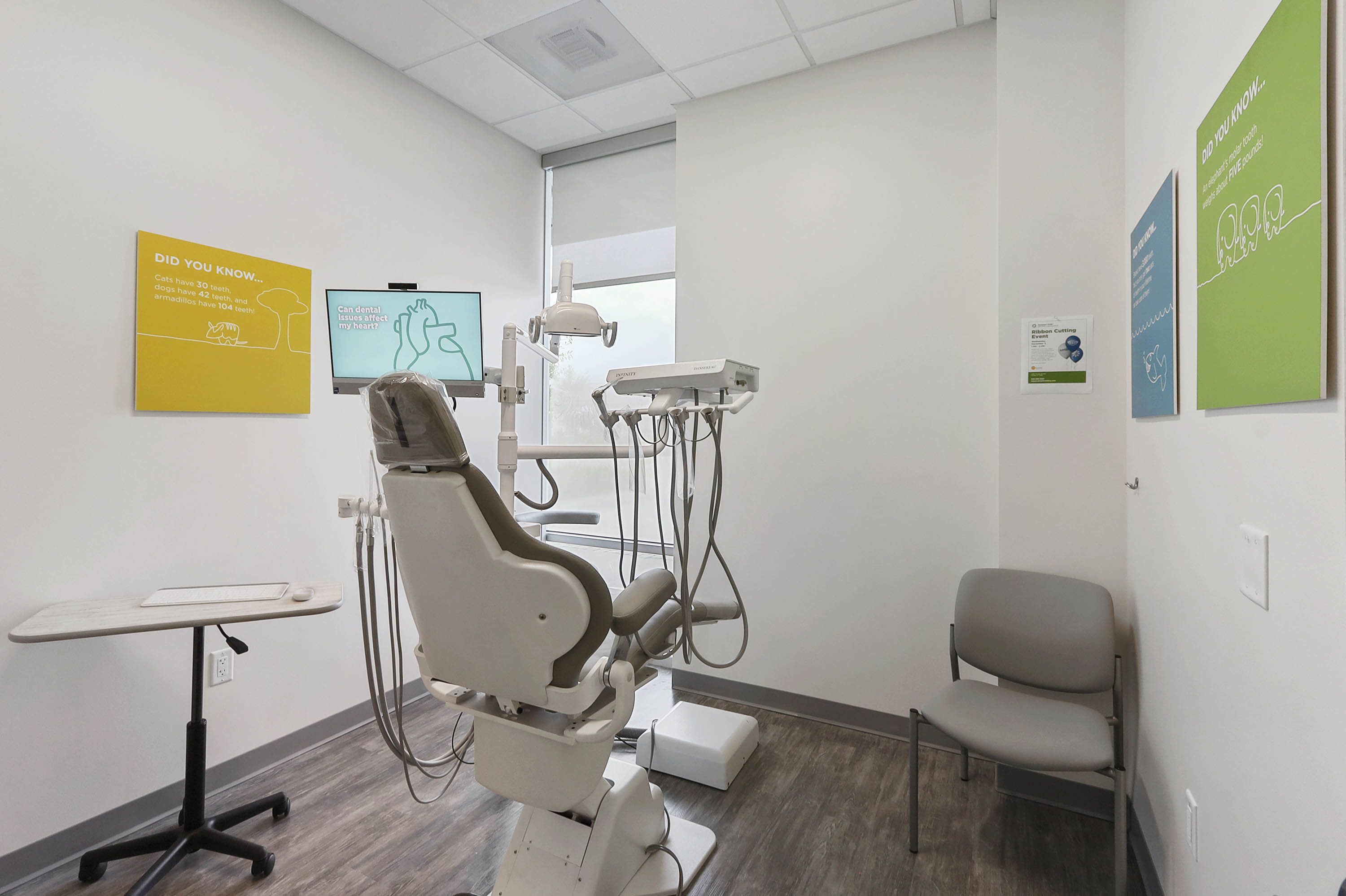 Harpers Kids’ Dentistry &amp; Orthodontics Logo