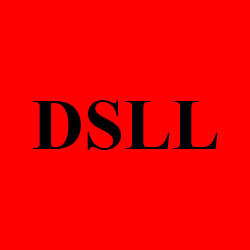 Dorothy Segal Lystad LCSW Logo