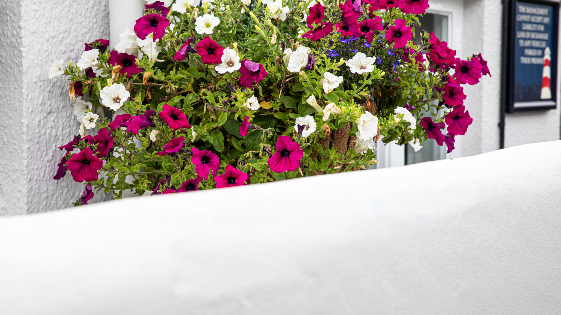 Images Inn On The Shore