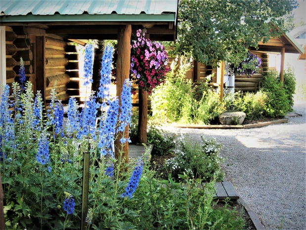 Images Log Cabin Motel