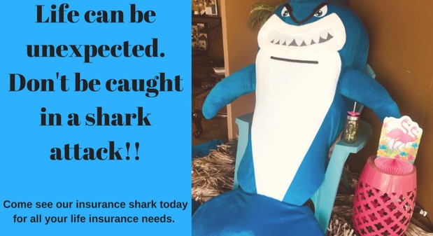 Images Jack Ray Insurance Agency