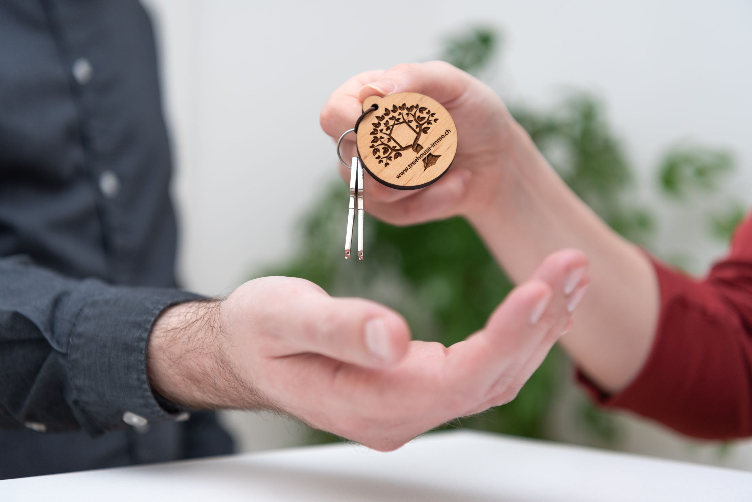 Bilder Treehouse GmbH