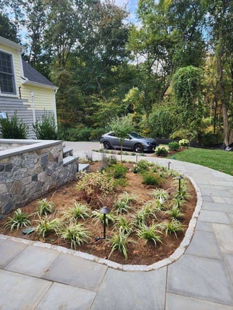 Images Angel Molina Landscaping