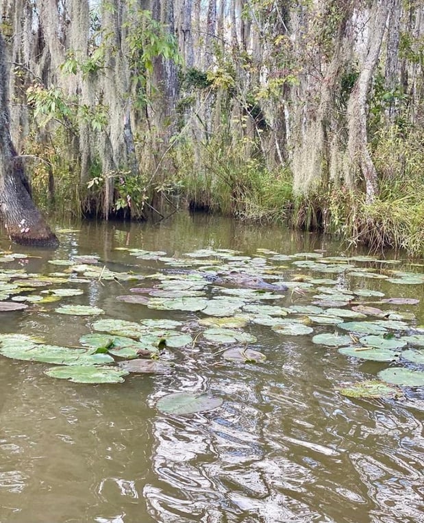 Images Cajun Encounters Tour Company