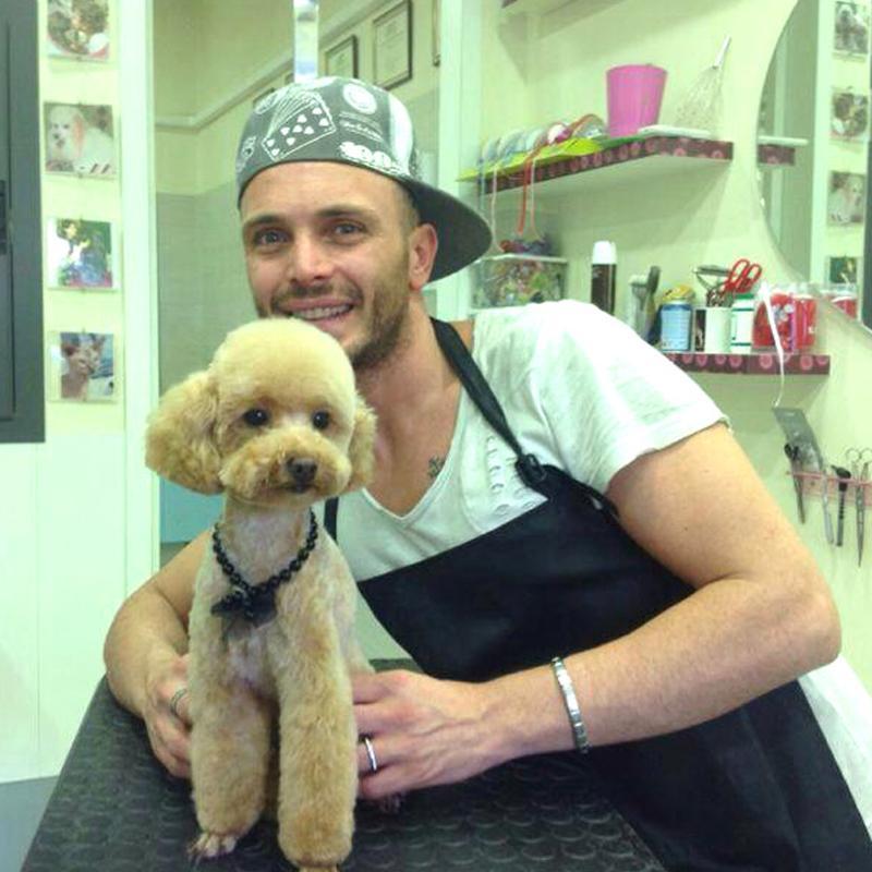 Images Toelettatura Salandra Francesco