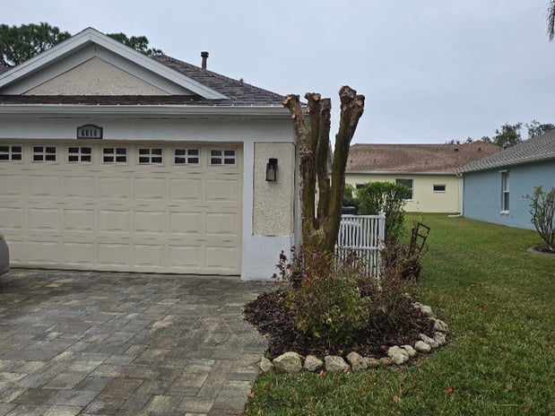 Images Art's Tree Service