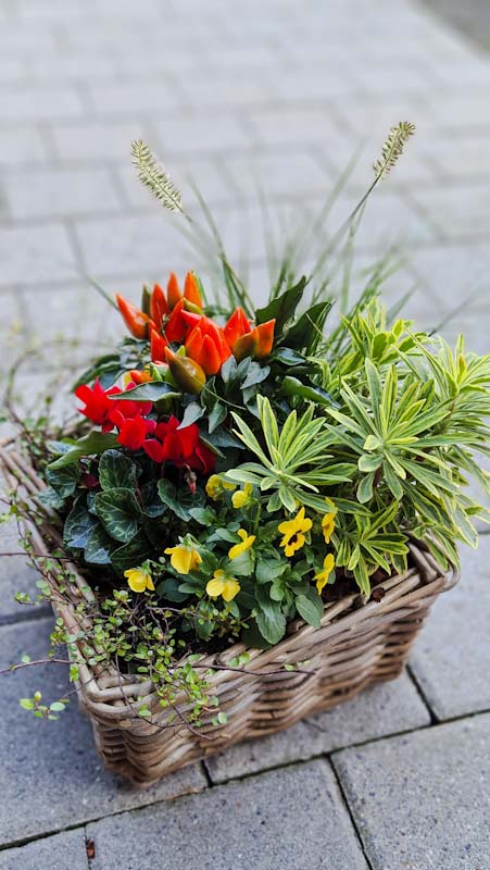 Bilder hollenstein blumengarten ag-Blumenshop-Gärtnerei-Gartenbau-Unterhalt-Grabpflege