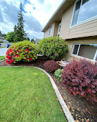 Images Alexa's Tree Service