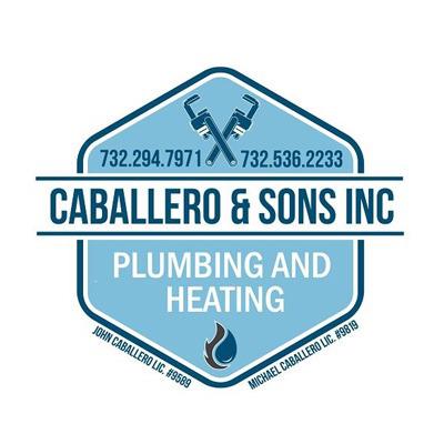 Caballero & Sons Inc Logo