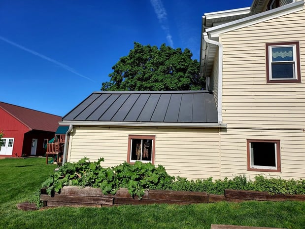 Images Bald Eagle Exteriors